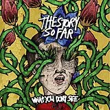 Story So Far,The Vinyl What You Don't See (crayons Marble Vinyl)