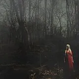 156/Silence CD From A Distance