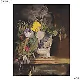Gavial Vinyl vor