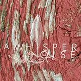 A Whisper In The Noise LP (analog) To Forget