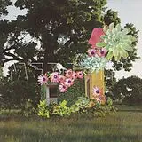Medicine CD Home Everywhere