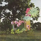 Medicine Vinyl Home Everywhere (Vinyl)