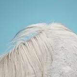 Widowspeak Vinyl All Yours (Vinyl)