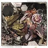 Illustration Sonore LP (Vinyl) Undisciplined Strips Of Emotions