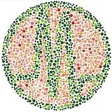 Various LP (Vinyl) Synesthesia-The First Five Years (Vinyl)