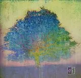 Eric Johnson CD EJ
