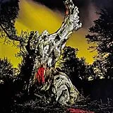 Real Farmer Vinyl Two Wrongs Don't Make A Right