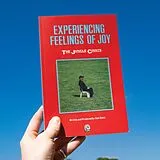 The Jungle Giants CD Experiencing Feelings Of Joy