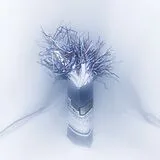 CD Ghost CD When The Rain Stops