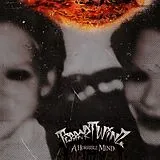 Terrortwinz Vinyl A Horrible Mind