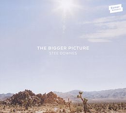 Stee Downes CD The Bigger Picture