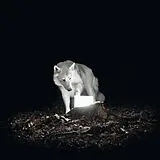 Vanishing Life CD Surveillance