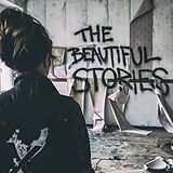 Invsn Vinyl Beautiful Stories