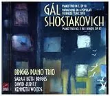Briggs Piano Trio David Juritz CD Gál: Piano Trio In E Major,Op.18; Variationen Übe