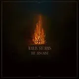 Wailin' Storms Vinyl The Arsonist