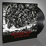 Deströyer 666 LP (analog) To The Devil His Due