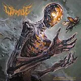 Wormhole LP (analog) Almost Human (orange)