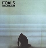 Foals Vinyl What Went Down