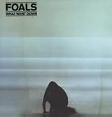 Foals LP (Vinyl) What Went Down