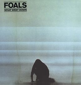 Foals Vinyl What Went Down