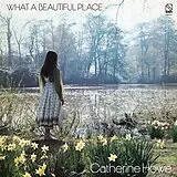 Catherine Howe LP (analog) What A Beautiful Place -yellow Vinyl- (indies Only