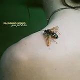 Palomino Blond LP (analog) You Feel It Too