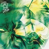 Lucid Express Vinyl Instant Comfort (ultra Clear Vinyl)