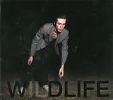 Icarus Line CD Wildlife