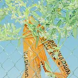Lockstep CD I Know What I Saw