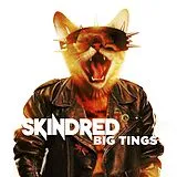 Skindred CD Big Tings