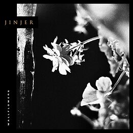 Jinjer CD Wallflowers