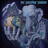 My Sleeping Karma Vinyl ATMA