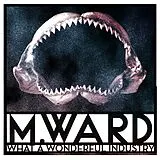 M. Ward LP (analog) What A Wonderful Industry