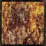Lord Mantis Vinyl Universal Death Church