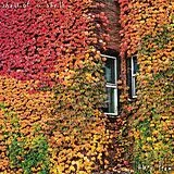 Shell Of A Shell LP (Vinyl) Away Team (Vinyl)