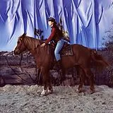 Holy Motors LP (analog) Horse