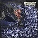 Of Feather And Bone Vinyl Sulfuric Disintegration