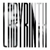Heather Woods Broderick LP (analog) Labyrinth (grey)
