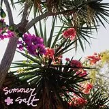 Summer Salt Vinyl Campanita