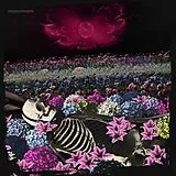 Dead Rabbitts Vinyl Redefined