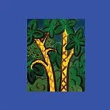 Andre Ethier LP (analog) Under Grape Leaves