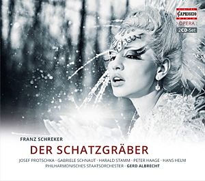 Schatzgraeber
