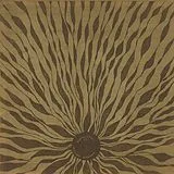 Willem Nyland Vinyl Piano Studies 337 (indies Only)