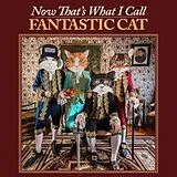 Fantastic Cat Vinyl Now That's What I Call Fantastic Cat