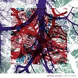 Silversun Pickups LP (analog) Widow's Weeds