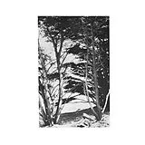 Rick Deitrick LP (analog) Gentle Wilderness