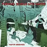 Turning Jewels Into Water Vinyl Map Of Absences