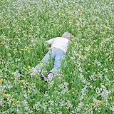 Porter Robinson CD Nurture