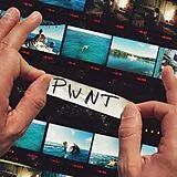 PWNT Vinyl Play What S Not There