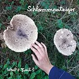 Schlammpeitziger LP (Vinyl) What'S Fruit (Vinyl)